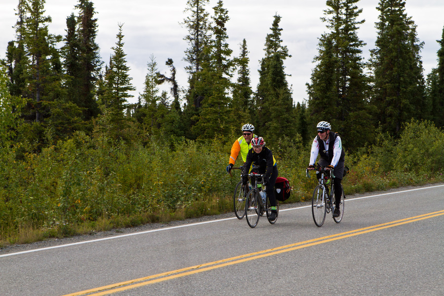 Cyclist riding through forest