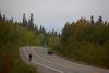 cyclist on roadway